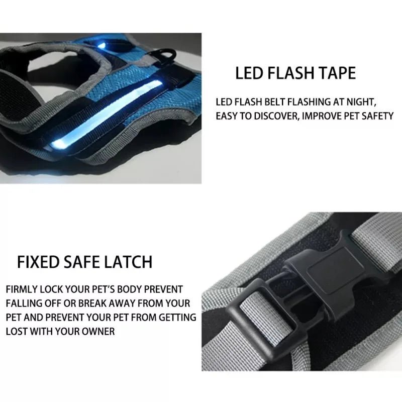 Dog Chest Harness with LED Panels - DeltaProtective