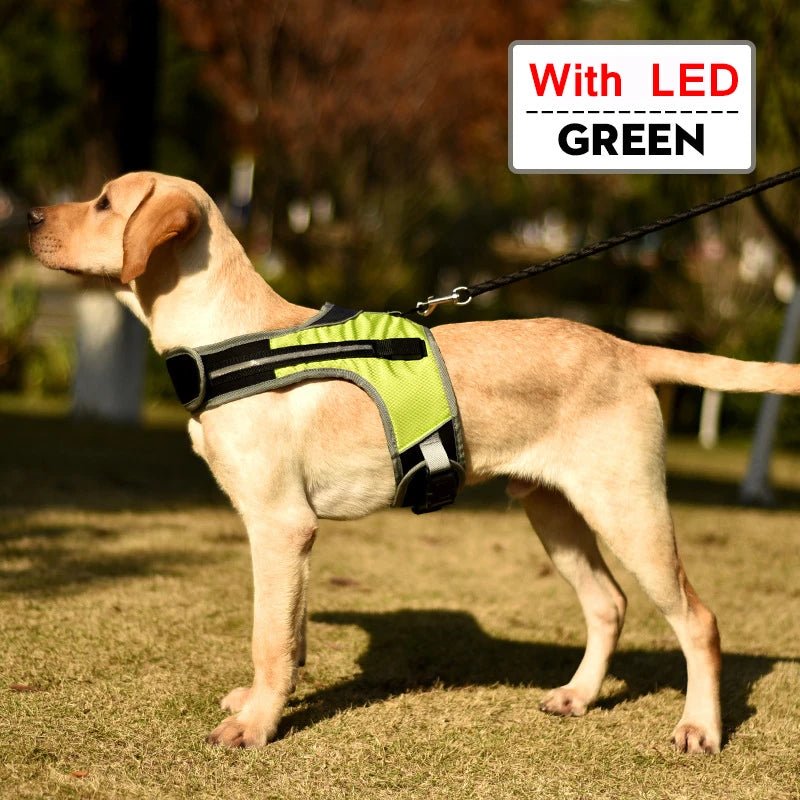 Dog Chest Harness with LED Panels - DeltaProtective