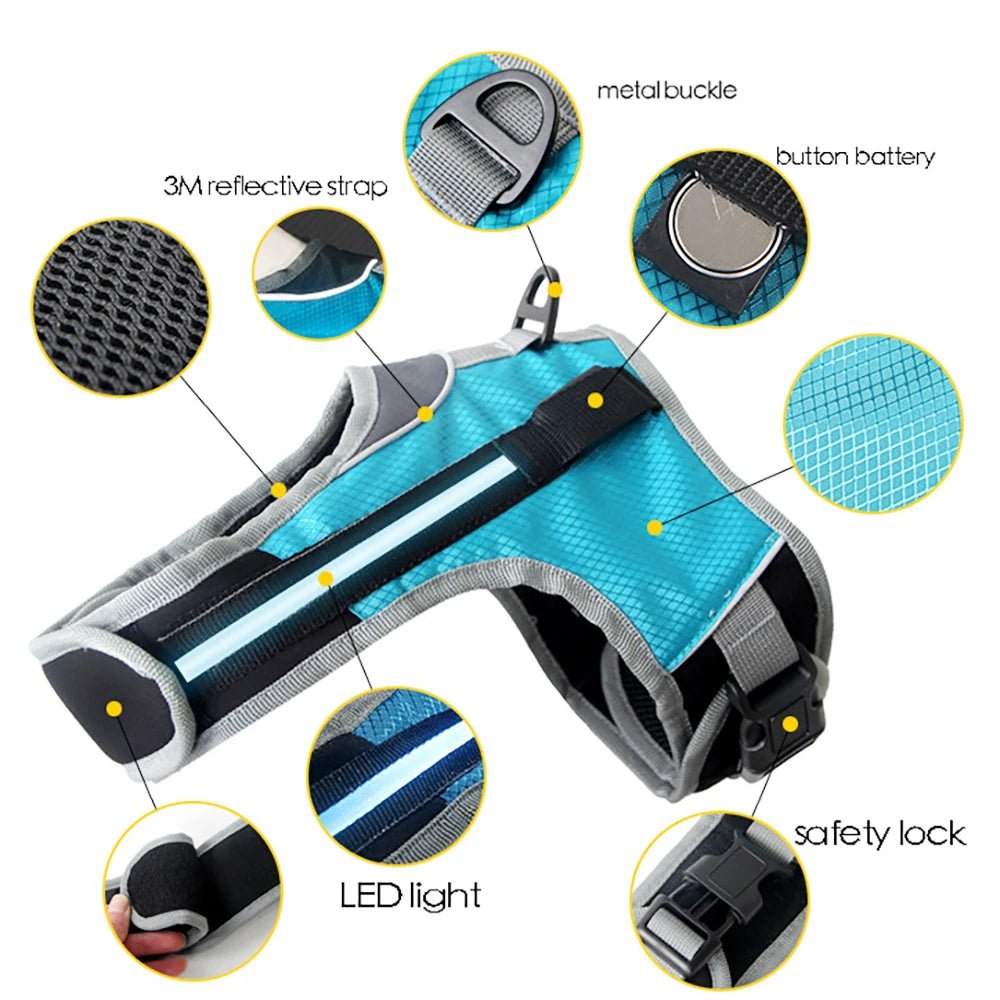 Dog Chest Harness with LED Panels - DeltaProtective