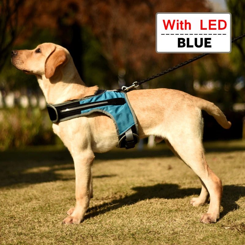 Dog Chest Harness with LED Panels - DeltaProtective