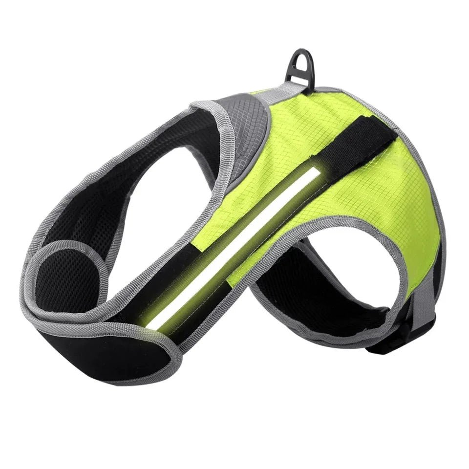 Dog Chest Harness with LED Panels - DeltaProtective