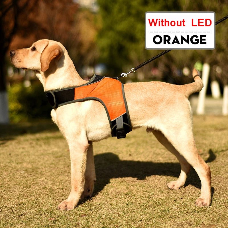 Dog Chest Harness with LED Panels - DeltaProtective