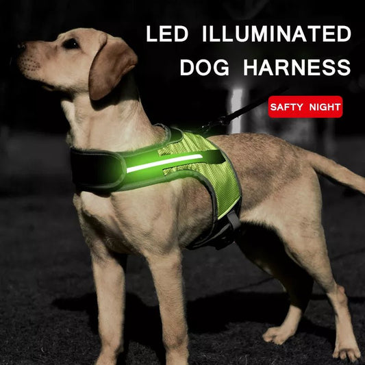 Dog Chest Harness with LED Panels - DeltaProtective