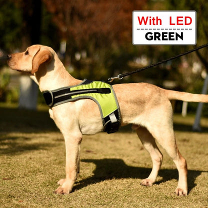 Dog Chest Harness with LED Panels - DeltaProtective