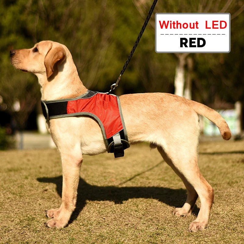 Dog Chest Harness with LED Panels - DeltaProtective