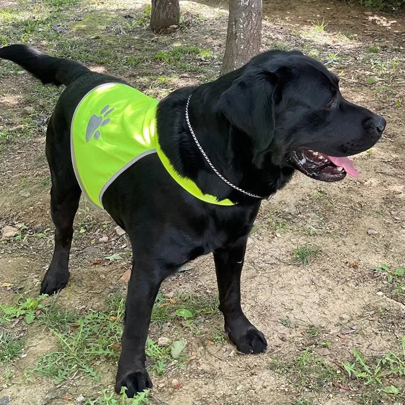 Reflective Dog Vest - DeltaProtective